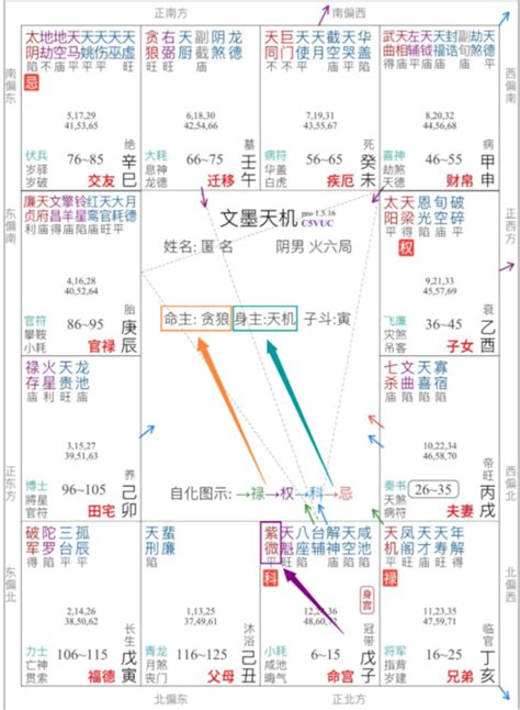 命主意思|紫微斗数中命主星的意义和用法